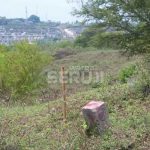 Tanah Beralih Fungsi