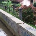 2018-04-05_14.46.21[1]