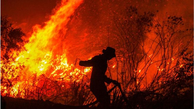 Kebakaran Hutan dan Moralitas Kita